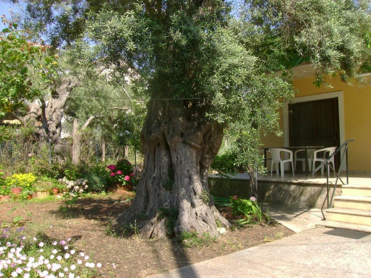 Villa Lefkas House With Garden à Tsoukaládhes Extérieur photo